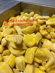 Fruit du jacquier congelé-frais, biologique, doux, de haute qualité, fournisseur en gros au Vietnam pour l'exportation/Lily + 84 906927736 - Product Image 5
