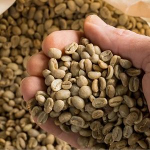 Vietnam USDA Certified ISO 22000 Certified Specialty Robusta Green Coffee <b>Beans</b> Size 18 Grade G1/G2 High Quality TNFOOD Brand - Product Image 1