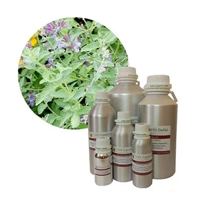 Huile de Catnip de Haute Qualité, Huile Essentielle de Nepeta Cataria, Fournisseur pour les Usages en Parfumerie et Soins Personnels - Product Image 1