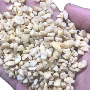 Haute qualité SP noix de cajou fraîches savoureuses savoureuses soigneusement sélectionnées collations crues saines grande exportation Vietnam 20kg Cartons - Product Image 1