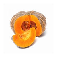 Hot Selling Direct Factory Supply Herbojit Internationale Uitstekende Kwaliteit Natuurlijke Verse Rode Pompoen Kwaliteit Hooggeprijsd Fruit