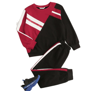 Conjunto de Ropa Deportiva para Niños con Logotipo Personalizado, Algodón, Venta al por Mayor, Conjunto de Ropa Infantil de Otoño, Sudadera con Capucha y Pantalones Deportivos para Niños Pequeños - Product Image 2
