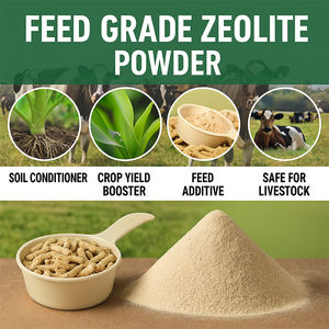ผงซีโอไลต์คลินออปติโลไลต์จากผู้ถือเหมือง  อาหารเสริมสำหรับสัตว์ ช่วยเพิ่มประสิทธิภาพการย่อยอาหารและอัตราการเจริญเติบโต - Product Image 4