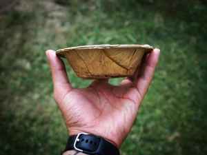 ชุดจานใบอูรีก้าย่อยสลายได้ 50 ชิ้น ทำด้วยมือ ภาชนะใช้แล้วทิ้งสำหรับงานจัดเลี้ยง ขายส่ง - Product Image 2