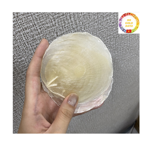 Capiz Shell <b>Curtain</b> | Handmade Natural Polished <b>Panels</b> | Home Wedding Decor | Factory Supply - Product Image 1