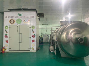 เครื่องอบแห้งแบบแช่เยือกแข็งด้วยระบบสุญญากาศอัตโนมัติ ควบคุมด้วย PLC ทำจากสแตนเลสสำหรับการแปรรูปอาหาร รุ่น WHFD-100 - Product Image 6