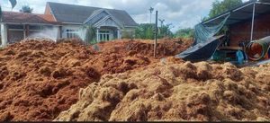 Tourbe de coco organique à faible teneur en EC, en vrac, légère, pour la plantation en jardin, MOQ 1 tonne, export, prix abordable - Product Image 4