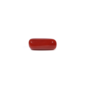 Natural Red Coral Oval Cabochon Loose Gemstone-6.04 Carat-AA Quality Certified Wholesale - Product Image 1
