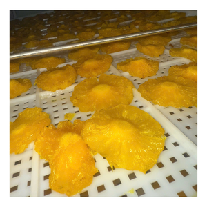 Vietnamese Premium Dried Pineapple Snack with Natural Taste for Bulk Orders Worldwide - Product Image 1