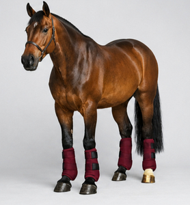 Bottes de protection en néoprène pour l'équitation, absorbant les chocs, respirantes, durables, protection des jambes, fournisseur OEM, bottes d'équitation - Product Image 2