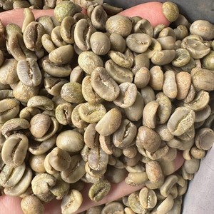 Organic Arabica <b>Coffee</b> <b>Beans</b> for Roasting Natural Process Green <b>Coffee</b> <b>Beans</b> Size 16 Unwashed Vietnam Highland Premium Origin - Product Image 1