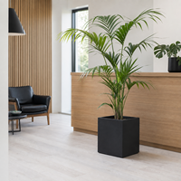 Jardinière carrée en fibre de verre robuste, gris anthracite, pour extérieur, espace public, jardin, pot à fleurs, finition mate foncée, conteneur pour plantes.