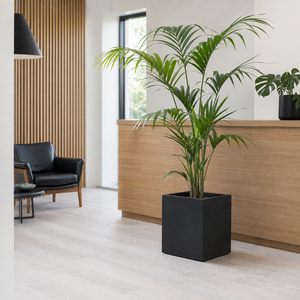 Bulk Order Graphite Fiberglass <b>Box</b> Cube Flower Planter Matte Stone Finish Home Balcony 5 Size Set 30-70cm - Product Image 4