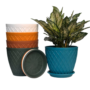 Macetas Decorativas en Forma de Oliva para Uso en Interiores - Product Image 1