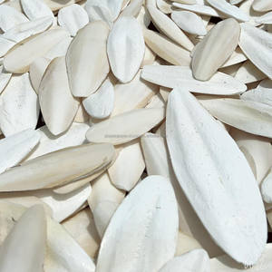 Os de Seiche Séché Hai Piao Xiao – Disponible en Stock – Os de Seiche Séché (Os de Calamar) Toutes Tailles - Product Image 6