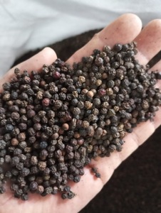 Poivre noir de qualité supérieure, piment de la Jamaïque, origine Vietnam, épice séchée brute AD, 50 kg, certifié HACCP, Phalco JSC - Product Image 3