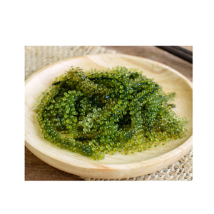 Proveedor de Umibudo de Vietnam, Importador de Uvas de Mar Verdes, Caviar Verde, Mariscos Frescos - Product Image 6