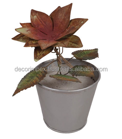 หลายสีธรรมชาติ