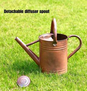 Vintage Galvanized Steel Watering Can for Outdoor Plants Gallon Metal Copper Finish Gardening Watering Can with Long Spout - Product Image 3