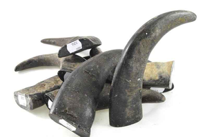 Puntas de Cuerno de Búfalo Pulido Talladas a Mano de Alta Calidad, Directo de Fabricante, Ecológicas, con Recubrimiento Anticorrosión, Artesanía Moderna - Product Image 2