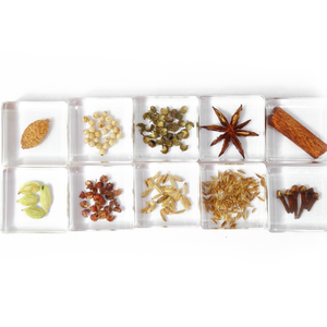 La pianta reale ha conservato i tipi di infiorescenza di modalità di aiuti didattici medici incastonati campione di resina per l'insegnamento della scuola materna - Product Image 5