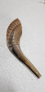 Shofar Pulido Hecho a Mano al por Mayor, Cuerno de Carnero Natural Genuino, Artesanía de la India, Shofar en Venta de la India por CRAFTING CRAFTS - Product Image 3