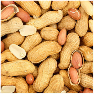 Nueces Crujientes, Snacks de Cacahuetes Tostados Recubiertos de Harina, Venta al por Mayor, Embalaje Refrigerado para Almacenamiento OEM - Product Image 1