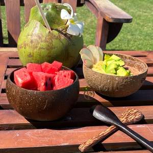 Tazón de Coco Hecho a Mano de Primera Calidad de 13-14 cm y Cuchara de Madera de Coco de 16 cm, Utensilios de Cocina Orgánicos Biodegradables, Proveedor Mayorista - Product Image 1