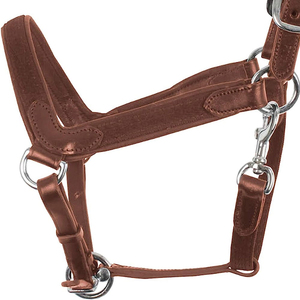 Longe de cheval durable en coton tressé doux avec mousqueton métallique sécurisé pour l'équitation quotidienne, l'entraînement, le toilettage et les soins du cheval - Product Image 6
