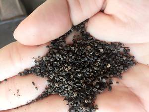 Poivre noir de qualité supérieure, piment de la Jamaïque, origine Vietnam, épice séchée brute AD, 50 kg, certifié HACCP, Phalco JSC - Product Image 4