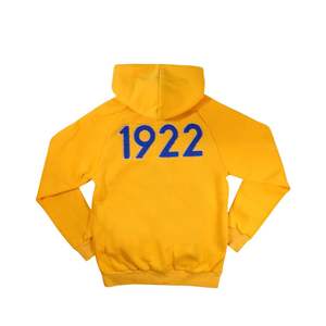 Sudadera con capucha Sigma Gamma Rho para hombre y mujer, dorada, 60% algodón, 40% poliéster, azul, con letras griegas bordadas en chenilla, sudaderas con capucha para hombre - Product Image 2