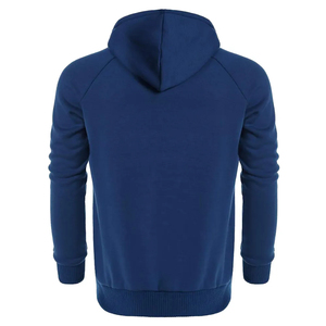 Sweat-shirt à capuche pour homme, color-block, manches raglan, décontracté, tricoté, polyester et coton, pour l'automne, coupe classique - Product Image 2