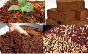 Low EC Compressed Coco Peat <b>Block</b> Natural Coconut <b>Coir</b> Growing Substrate for Plant Growing Soil Improvement and Animal Bedding - Product Image 6