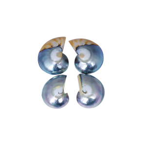 Perles Mabe multicolores arc-en-ciel en gros, cabochons à dos plat, pierres précieuses en vrac pour la fabrication de bijoux haut de gamme - Product Image 1