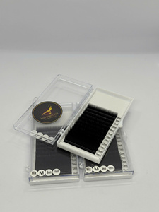 Premade <b>Volume</b> Fans Eyelash Extensions 3D 4D 5D 6D 12D 20D Synthetic C D Curl Short Long <b>Lash</b> Trays Custom Private Label - Product Image 1
