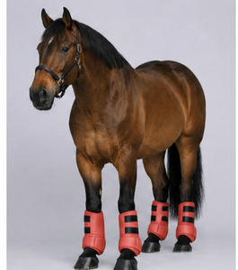 Protège-jambes pour chevaux en néoprène, bottes médicinales respirantes, amortissantes, durables, équipement d'équitation, service OEM personnalisé - Product Image 3