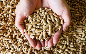 Nuevos pellets de madera de abeto y pino 100% de 6 mm, los más vendidos de 2026, 4950 Kcal/kg, pellets de clase ENplus A1 para estufas de calefacción - Product Image 4