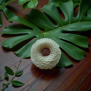 VADEE SOLA WOOD FLOWER Craft Handmade Sustainable Flower 5.5 CM Sesbania Plant Fiber Rod Thailand Model VDXXX-071 - Product Image 2