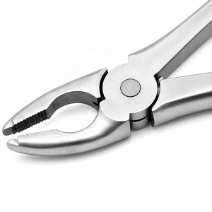 Forceps d'extraction universels à pointes crantées supérieures en acier inoxydable, forceps d'extraction dentaire, instruments chirurgicaux dentaires CE ISO - Product Image 3
