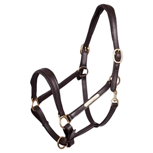 Top Quality Equestrian Premium English Leather Adjustable Horse <b>Halter</b> with Brass Hardware for Horse Riding Equipment - Product Image 2