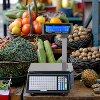 2026 NIEUW Model Rongta RLS1000 15KG Etikettenweegschaal LCD Etiketprinter Weegschaal OEM Aanpasbaar OIML/NTEP/CE Gecertificeerd 1 Jaar Garantie