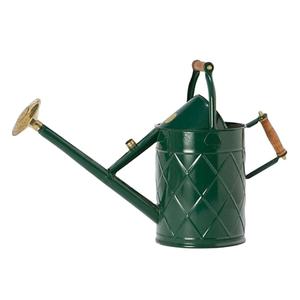 Arrosoir artisanal en métal vert, antirouille, léger, pour jardin et ferme, décoration - Product Image 1