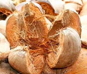 Bloque de Fibra de Coco de 5 kg, Acondicionador de Suelo Natural Biodegradable y Ecológico para el Cultivo de Plantas y Jardinería - Product Image 1