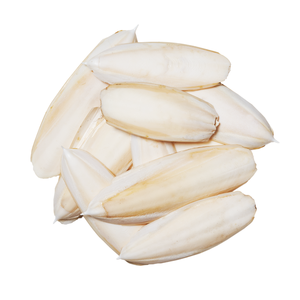 HUESO DE SEPIA (100% CALCIO PURO) MEJOR CALIDAD para REPTILES AVES CARACOLES // Sra. Lima - Product Image 1