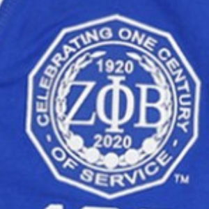 Cardigan universitaire Zeta Phi Beta 1920 pour femme, bleu et blanc, boutonné, en tricot, style veste de sororité avec poches - Product Image 2