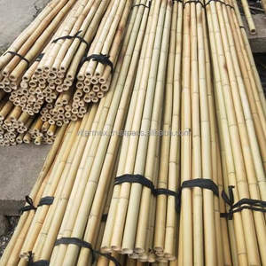 Vara de bambú natural de Tonkin de 60 cm, recta, seca, mini palo de bambú para soporte de plantas de jardín, materia prima para manualidades DIY. - Product Image 4