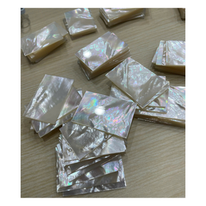 Handmade Polished Shell <b>Flower</b> <b>Wall</b> Decoration Natural Pearl Inlay Rectangle Craft <b>Panels</b> for Home Decor - Product Image 4
