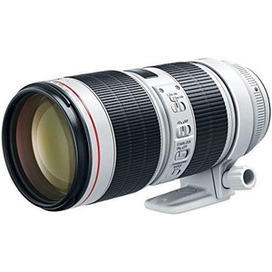 Objectif zoom professionnel EF 70-200mm f2.8L IS III USM pour la photographie sportive et de la faune. - Product Image 6