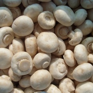 Precio al por mayor de champiñones frescos y blancos congelados para importadores, distribuidores, restaurantes, hoteles y empresas de procesamiento de alimentos. - Product Image 1