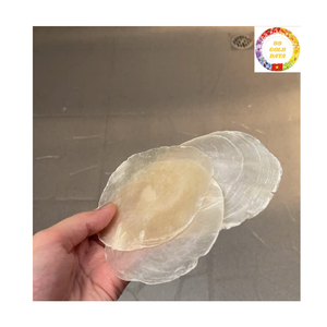 Capiz <b>Shell</b> Chips | Natural White Round <b>Shell</b> | DIY <b>Lighting</b> Decoration | Wholesale Supplier - Product Image 3